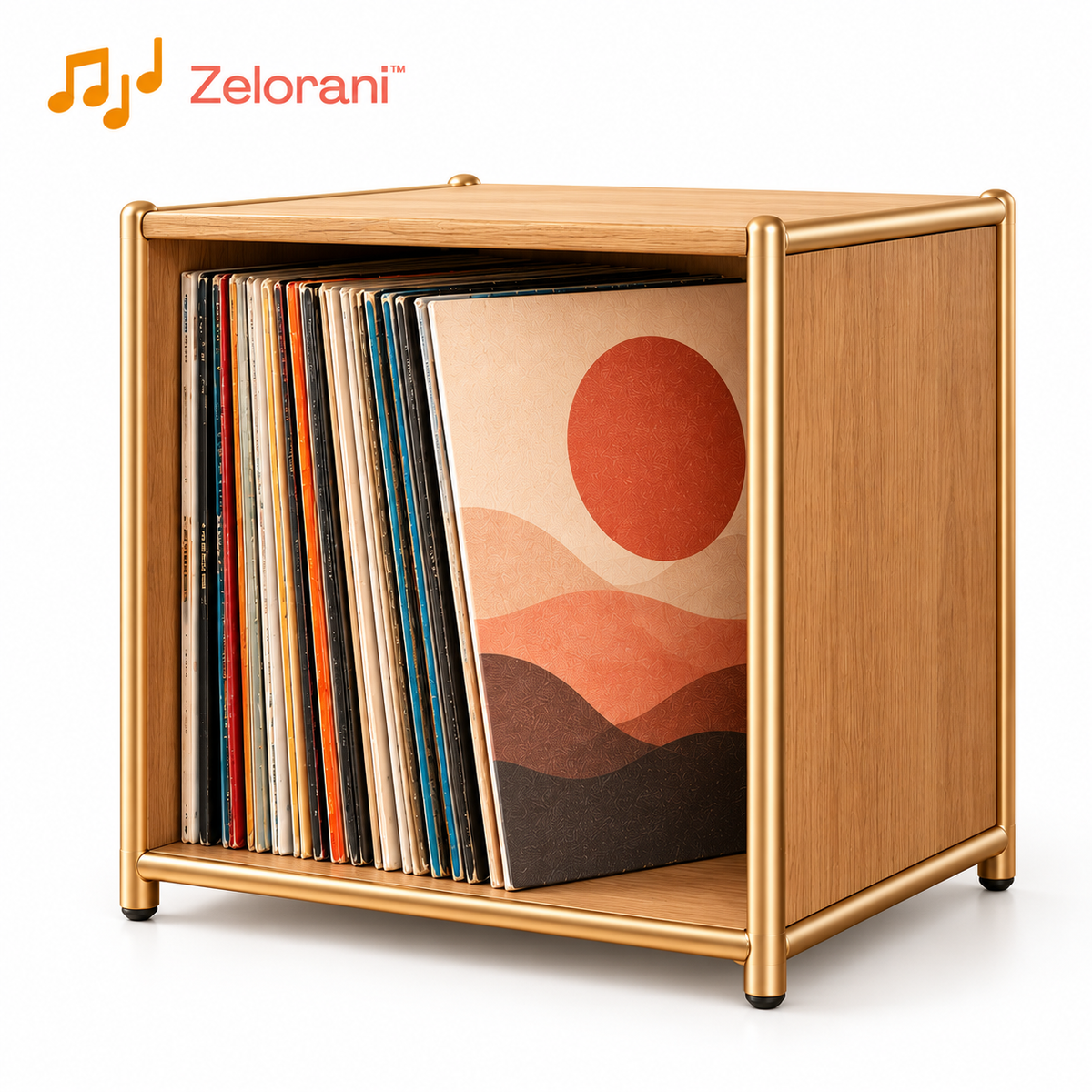 Zelorani™ Echo Cube – Stackable Vinyl Record Storage Cube, Modern Modular LP Album Organizer for Living Rooms & Listening Spaces